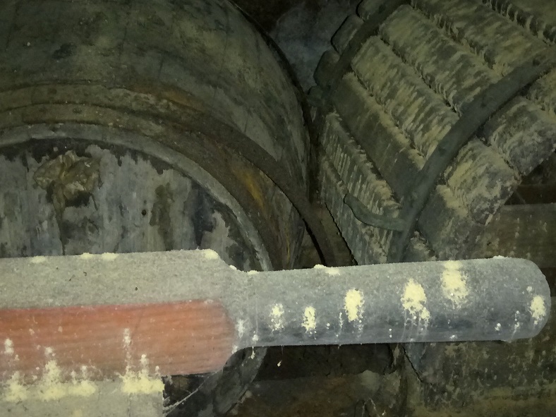 LA CARCOMA, o la llamada Polilla de la Madera